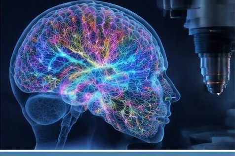 Innovative deep-tissue microscopy enables high-resolution brain imaging